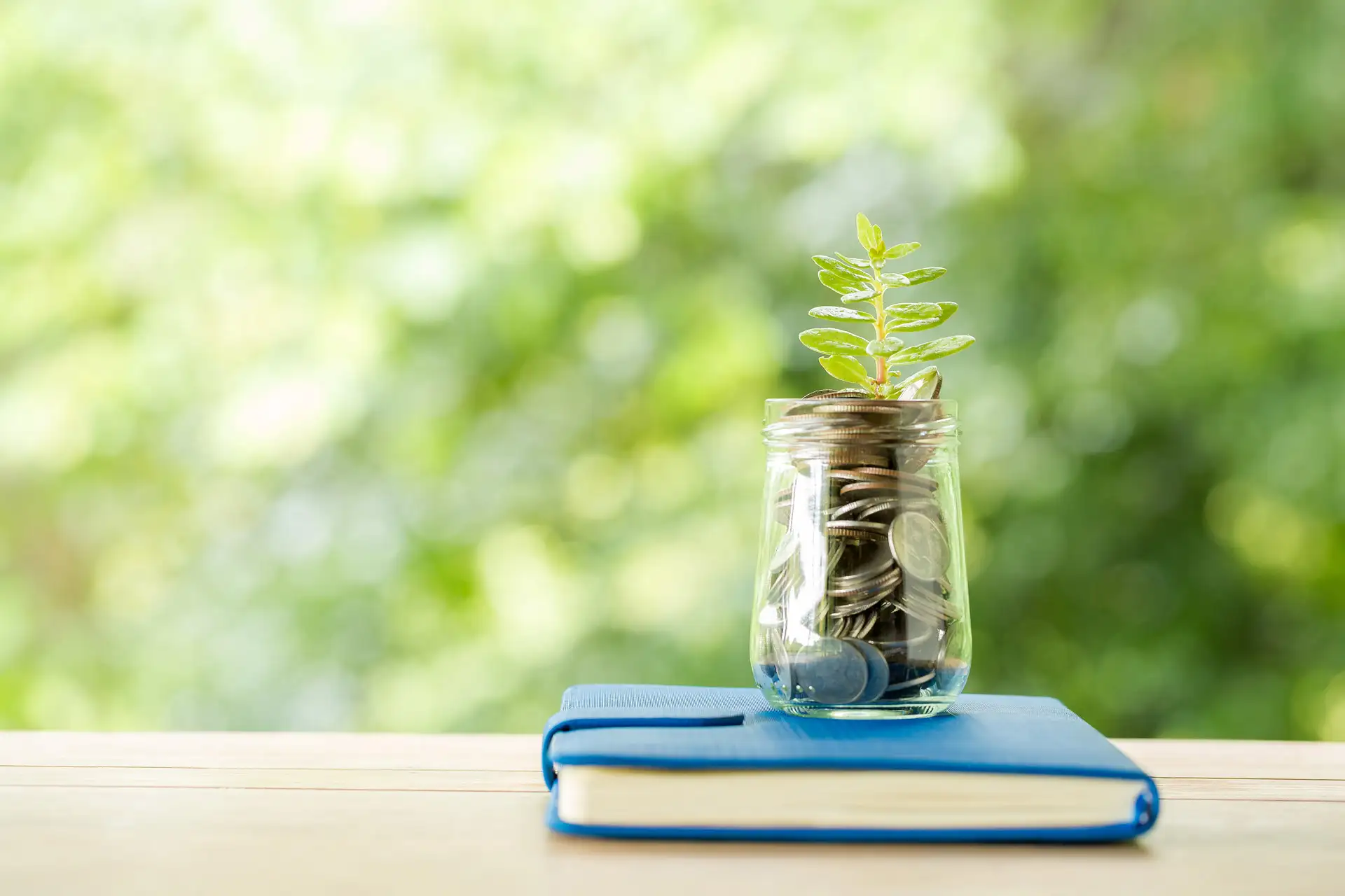 Empowering Your Team: Financial Literacy for Non-Financial Managers