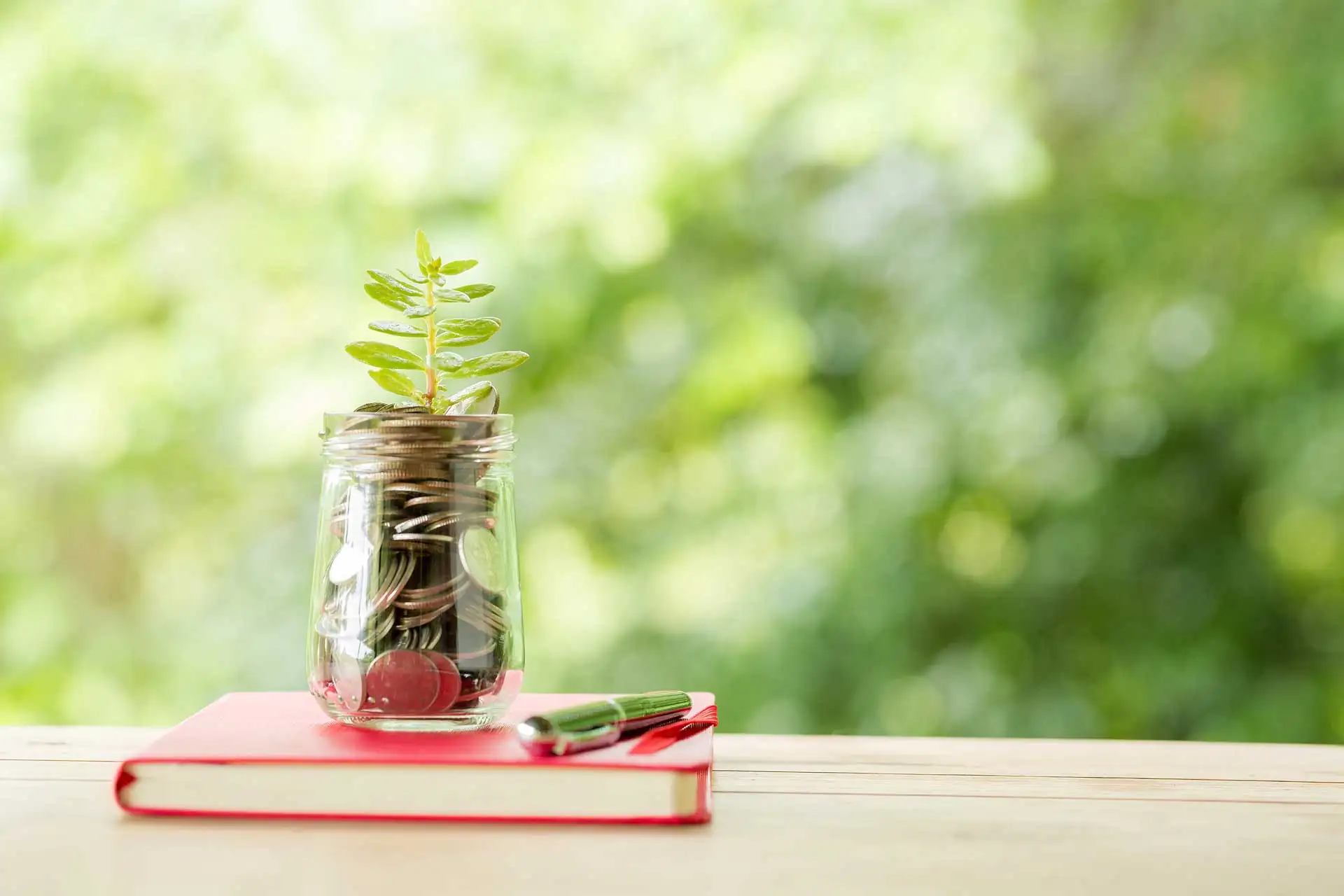 Cultivating a Culture of Financial Literacy within Your Organisation