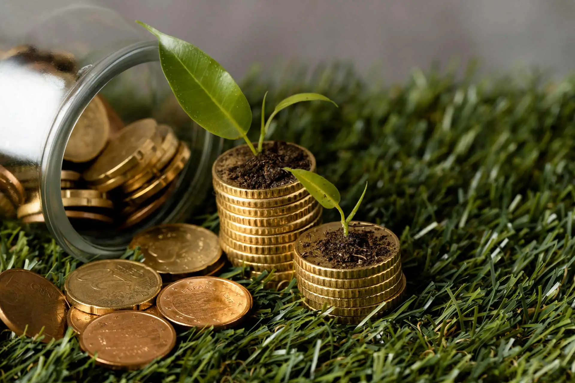 The Financial Case for Going Green: Sustainability Strategies that Save Money